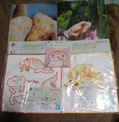 1番くじ 爬虫類&両生類 クリアファイル ジッパーバッグ タオルコレクション