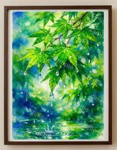 【水彩画アート】青もみじと水滴 2L版写真用紙