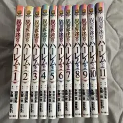 異世界迷宮でハーレムを 1～10
