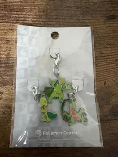 ポケモン メタルチャーム