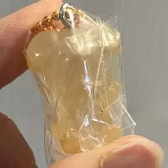 SKZOOグミチャーム パピーム