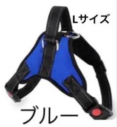 Item thumbnail for item 0f9f8167-cdf7-4d40-a7d1-33f33a49f851