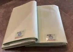 Item thumbnail for item 28c87738-e0f6-40ec-8ea1-ce4f491d2189