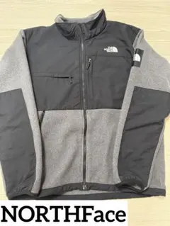 【美品】THE NORTH FACE デナリジャケット NA71951 グレーL