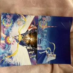 猫　※プロフ要確認【即購入・まとめ可】様 リクエスト 3点 まとめ商品