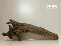 Item thumbnail for item 41061a15-85b3-4291-b53b-6104d1690c5a