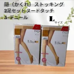 ヌードタッチ❣️ストッキング 5デニール Lサイズ 2足セット