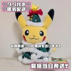 【未使用】ポケットモンスター ポケモン スイーツクリスマス ピカチュウぬいぐるみ Amazon.co.jp: ポケモンセンターオリジナル ぬいぐるみ