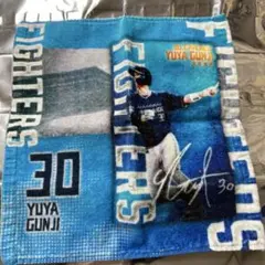 Item thumbnail for item 8b12ed3b-a217-42db-a73a-253e496f5c41