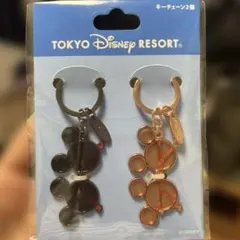 東京ディズニーリゾート キーチェーン 2個セットのサムネイル