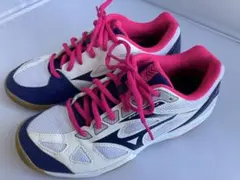 ☆美品　MIZUNO CYCLONE SPEED 2 23.0cmのサムネイル