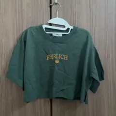 WEGO EHRLICH ロゴ 半袖 Tシャツ グリーン S