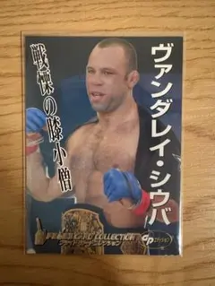 2026年最新】ヴァンダレイ・シウバの人気アイテム - メルカリ