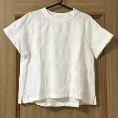 natural mist class 水玉 半袖Tシャツ 白