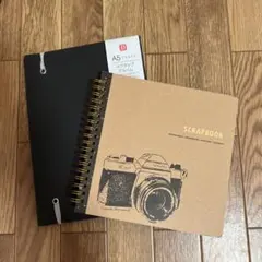 Item thumbnail for item 2e7115d7-4e1c-4f2f-b613-8a7406514893