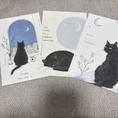 猫のイラスト ポストカード 3枚セット