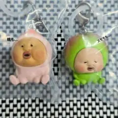 こびとずかん　めじるしアクセサリー　カクレモモジリ　スモモノウチ　2点セット