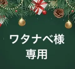 ワタナベ様　専用