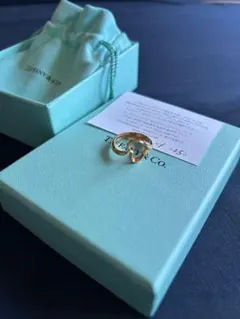 セット売りTiffany& Co.】ローズゴールドクラウンキー+パロマ・ピカソ 