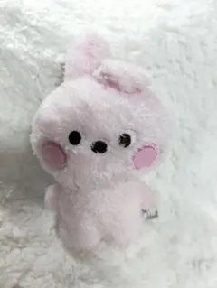 BT21 ぬいぐるみ cooky