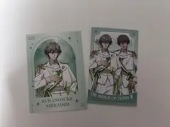 ドンキ テニプリ 白石蔵ノ介