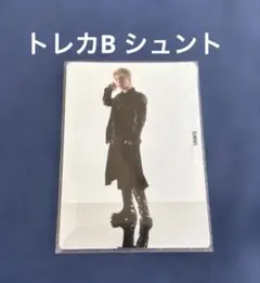 シュント トレカ ミュージシャン