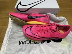 ラスト1足！NIKE AIR Zoom Max Fly 右足パンク①