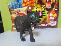 Item thumbnail for item 2549a098-eecc-411c-8f94-4b53a42dfffe