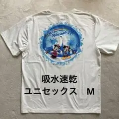 東京ディズニーリゾート Tシャツ Mサイズ　1枚