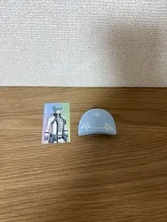 四葉環 ヘアクリップ・シール