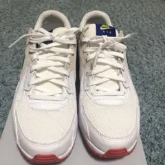 Nike Air Max ホワイト/ブルー/レッド