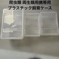 2026年最新】爬虫類ケージの人気アイテム - メルカリ