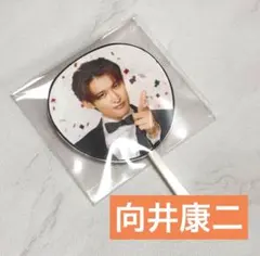 向井康二 アイドル
