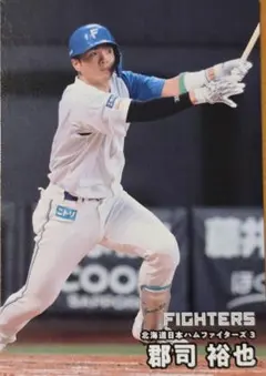 2026年最新】トレカ郡司裕也の人気アイテム - メルカリ