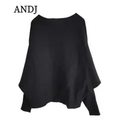 2568 美品 ANDJ アンドジェイ 柔らかドルマンニット ブラック F