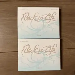&TEAM Back to Life mini CD Ver. ２つセット