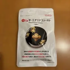 新品未開封☆ターミナリアファースト ターミナリアファースト プロフェッショナル4 [ 2024年2月