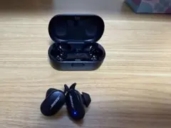 Bose quiet earbuds 本体のサムネイル