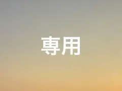 専用