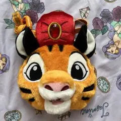 ディズニーランド　パスケース　チャンドゥ　シンドバッド　コインケース