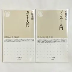 フーコー入門・ミシェル・フーコー 主体の系譜学 2冊セット - メルカリ