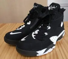 Item thumbnail for item 3ab41252-6c8b-435d-82bc-d4af8ecdf9f5