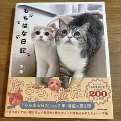 もちはな日記