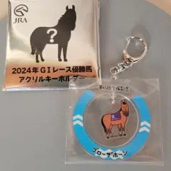 2025年最新】Welcomeチャンス jraの人気アイテム - メルカリ