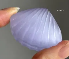 高品質　セレナイト　シェル　貝　シラー　パープル