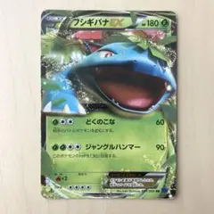 ポケモンカード xy