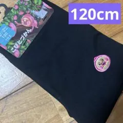 110を2枚と120サイズ1枚⭐️新品⭐️こびとづかん Tシャツ 半袖　予約 110を2枚と120サイズ1枚⭐️新品⭐️こびとづかん T