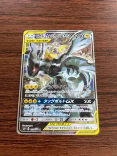 2025年最新】ピカチュウ&ゼクロムgx saの人気アイテム - メルカリ