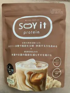 Rintosull SOY PROTEIN 560g 味噌スープ 味噌汁 - メルカリ