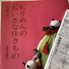 なみだの峠 伯耆大山 朝花美穂 新品未開封 サイン色紙付き - メルカリ